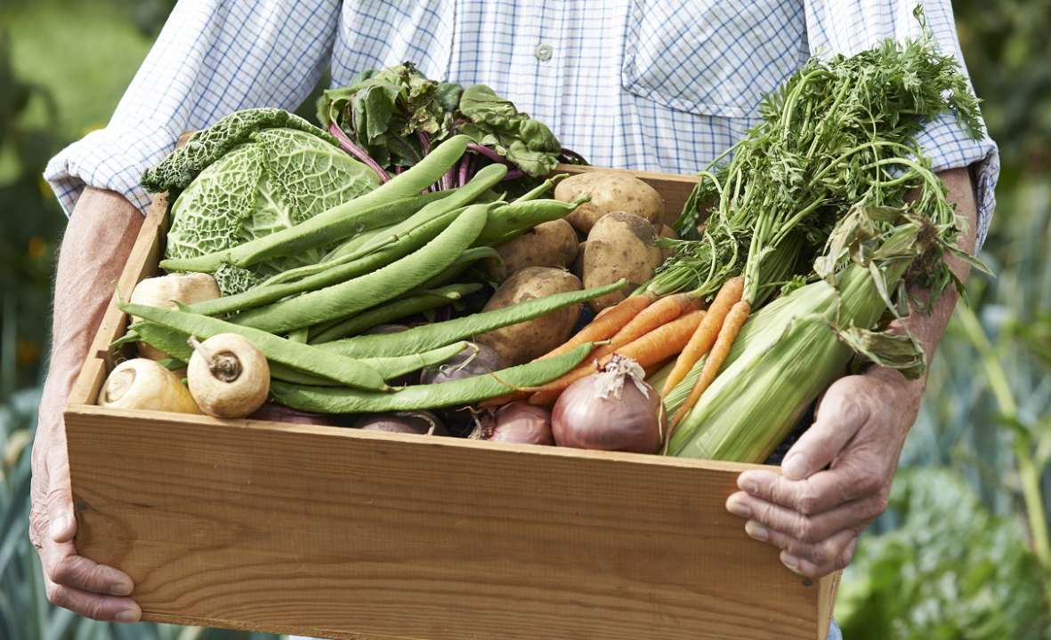home grown vegatables