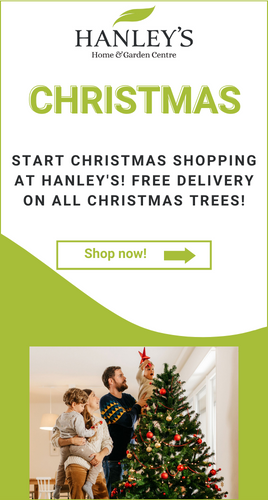 Christmas shopping