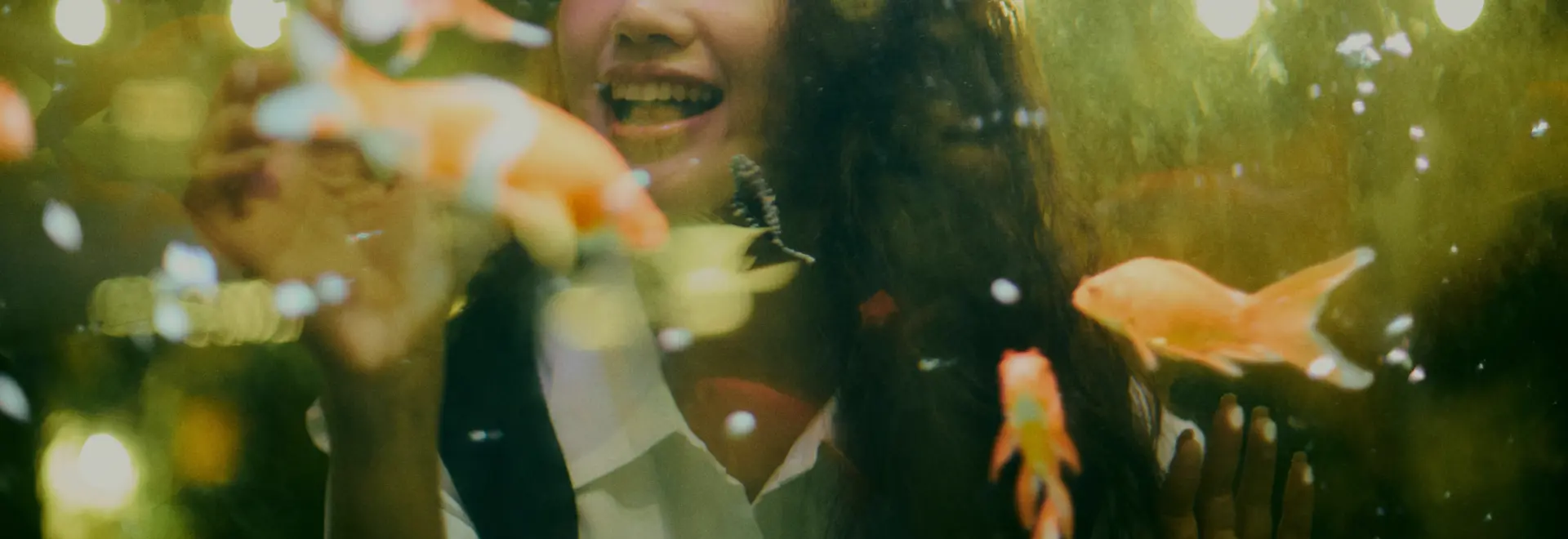 Winter Care for Happy, Healthy Fish