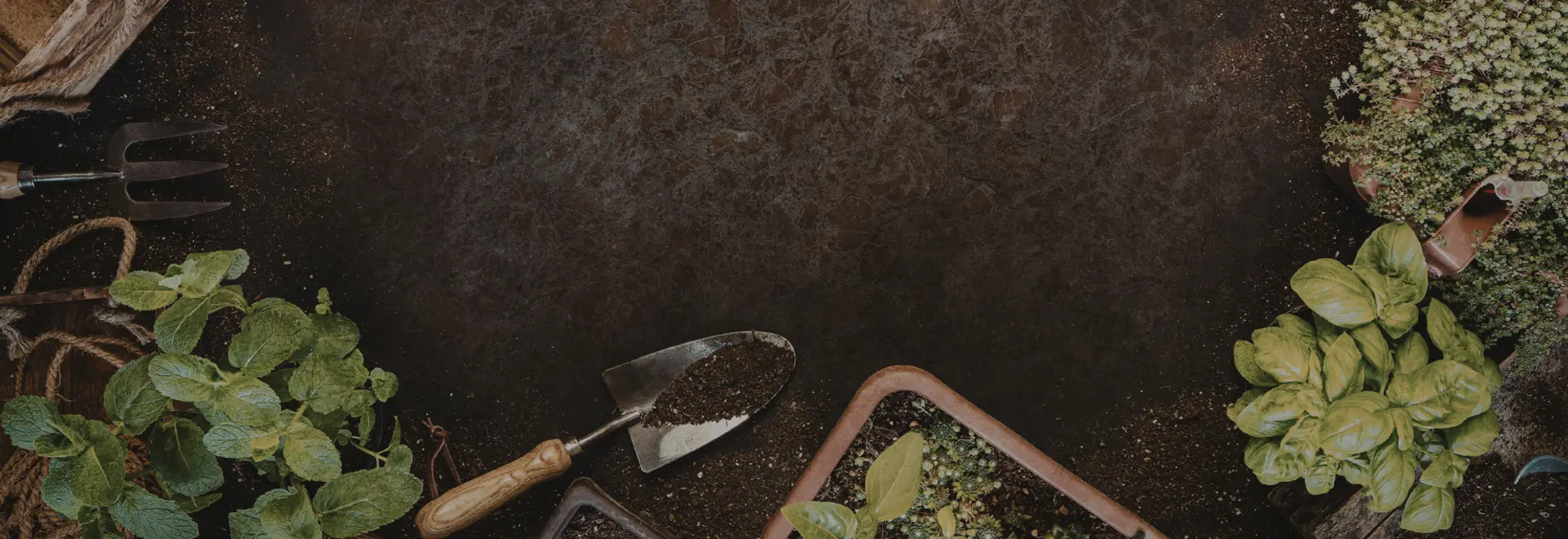 Make every garden job easier with the right tools this summer