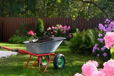 15 garden tips for August