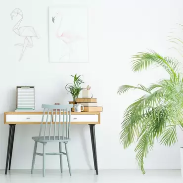 3 Reasons to Keep Plants in Your Workspace
