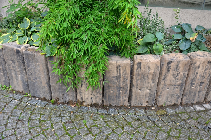 Controlling bamboo: how to stop it taking over your garden