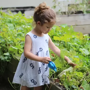 Gardening With Kids