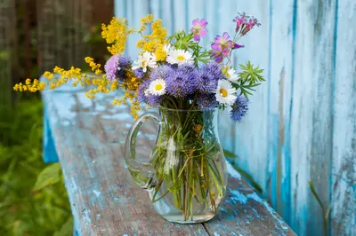 Home-grown cut flowers