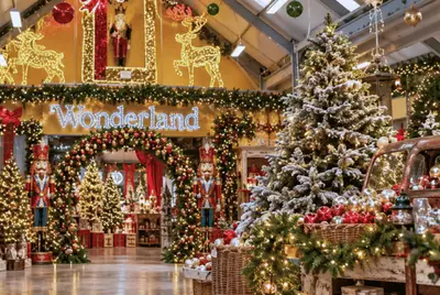 How to Decorate a Christmas Tree? A Step-by-Step Guide