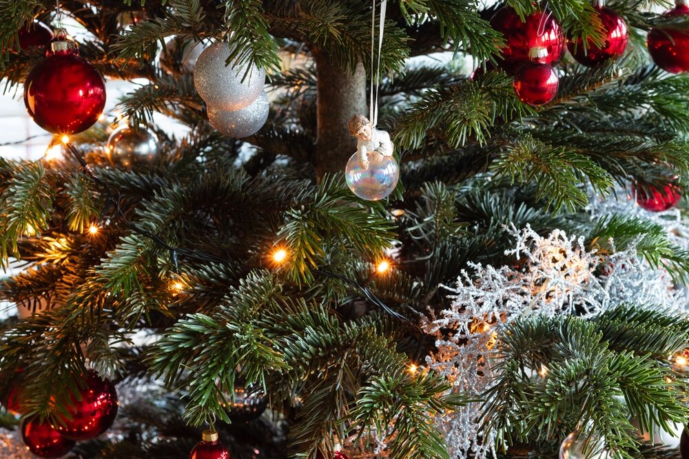 How to keep your Christmas tree fresh for longer Hanleys of Cork