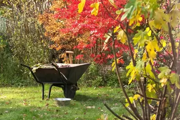 Why autumn’s the best time to garden