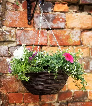 12" Rattan Hanging Basket - image 2