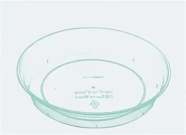 13-15cm (5/6") Clear Saucer