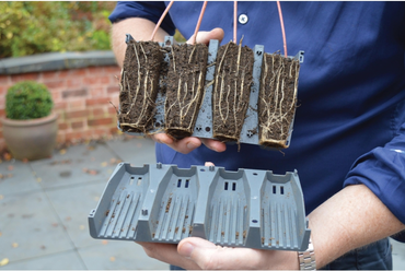 28 Cell Deep Root Success Kit - image 6