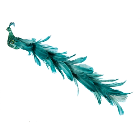 38cm Dark Gr Glitter Peacock