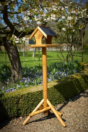 Acorn Birdtable - image 2