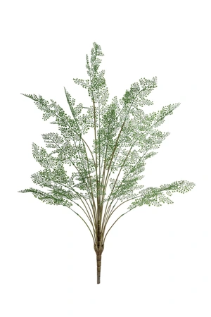 Adianthum Bush Green 110cm