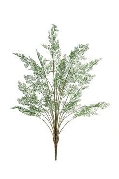 Adianthum Bush Green 110cm