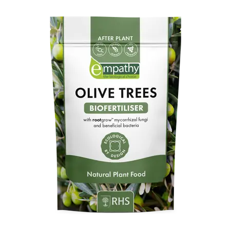 After Plant Olive Trees 1Kg