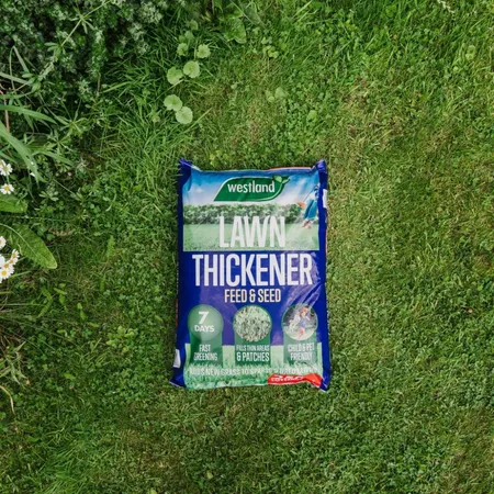 Aftercut Lawn Thickener 250m - image 2