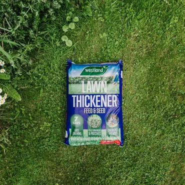 Aftercut Lawn Thickener 250m - image 2