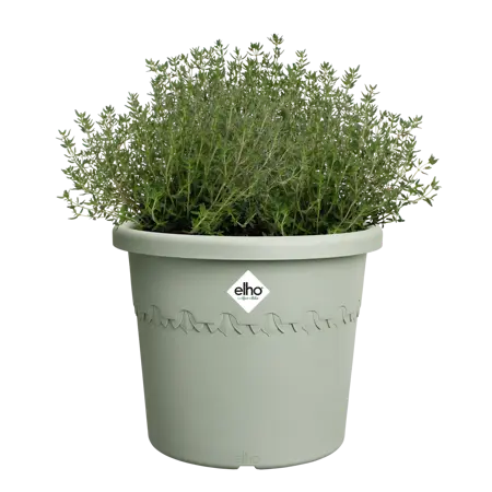Algarve Cilindro Thyme Green 25cm - image 3