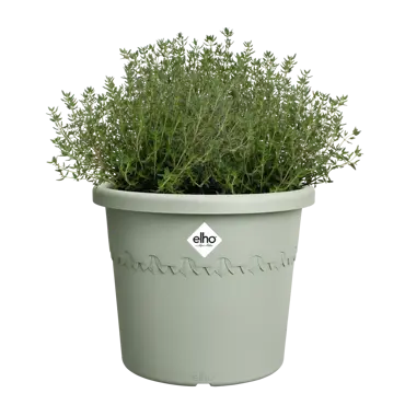 Algarve Cilindro Thyme Green 25cm - image 3