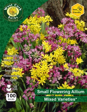 Allium Small Flowering Mixed 30 Bulbs