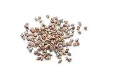 Altico Spring Blossom Pot Toppers - image 2