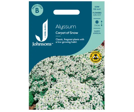 Alyssum Carpet Of Snow - image 1