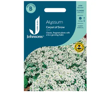 Alyssum Carpet Of Snow