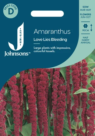 Amaranthus Love Lies Bleeding - image 1