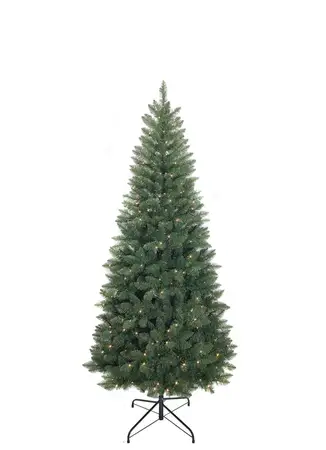 Anders Fir Prelit  214cm/7ft - image 1
