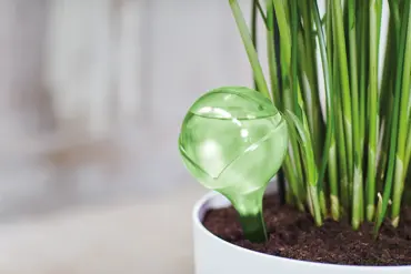 Aqua Care Lime - image 3