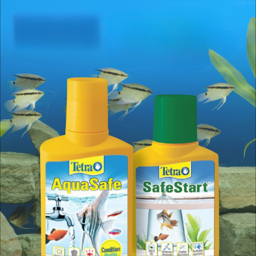 Aquarium Food & Treatments