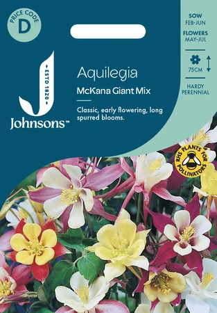 Aquilegia Mckana Giant Mix - image 1