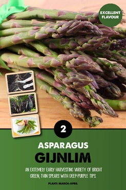 Asparagus Gijnlim