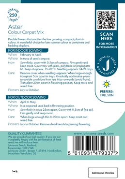 Aster Colour Carpet Mix - image 2