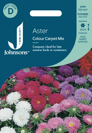 Aster Colour Carpet Mix - image 1