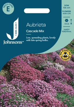 Aubrieta Cascade Mix