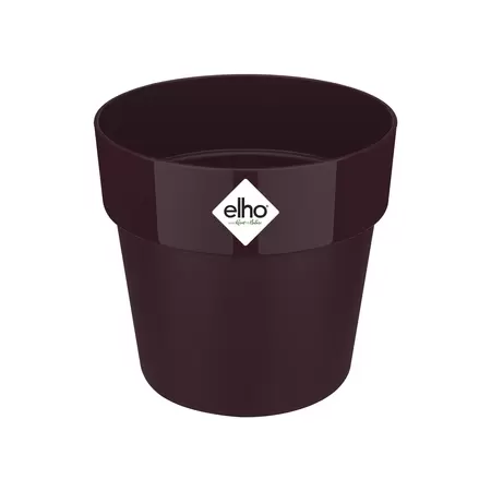 B.FOR MULBERRY PURPLE