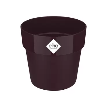 B.FOR MULBERRY PURPLE
