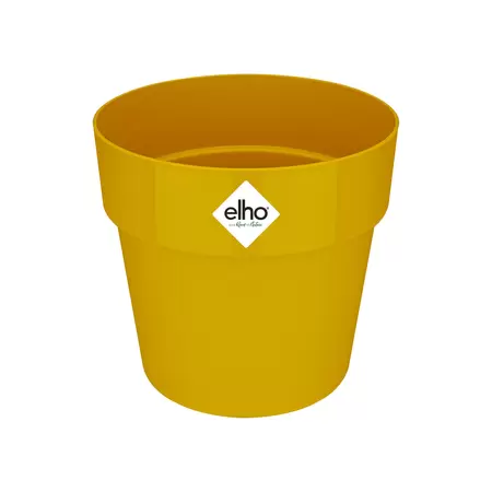 B.FOR ORIGINAL OCHRE