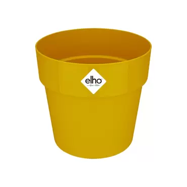 B.FOR ORIGINAL OCHRE