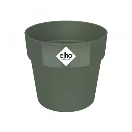 B.FOR LEAF GREEN
