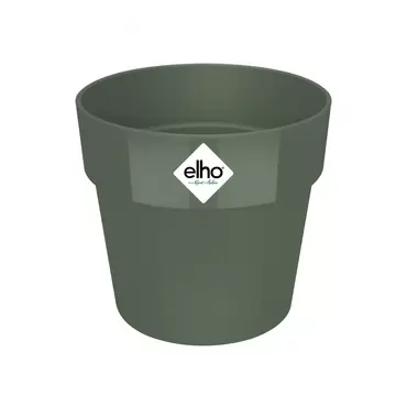 B.FOR LEAF GREEN