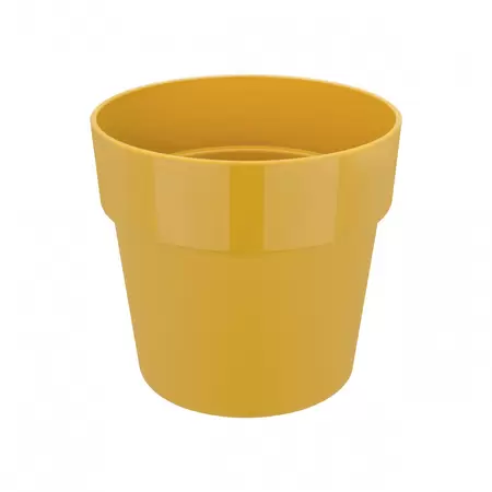 B.FOR OCHRE