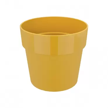 B.FOR OCHRE