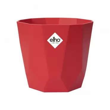 B.FOR ROCK BRILLIANT RED