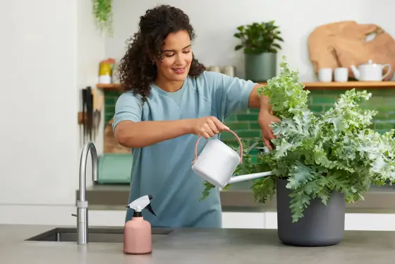 B.For Soft Sprayer 0.6 ltr - image 3