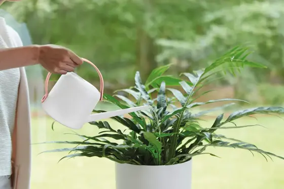 B.For Soft Watering Can 1.7ltr - image 3