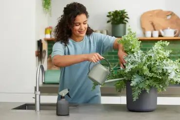 B.For Soft Watering Can 1.7ltr - image 3
