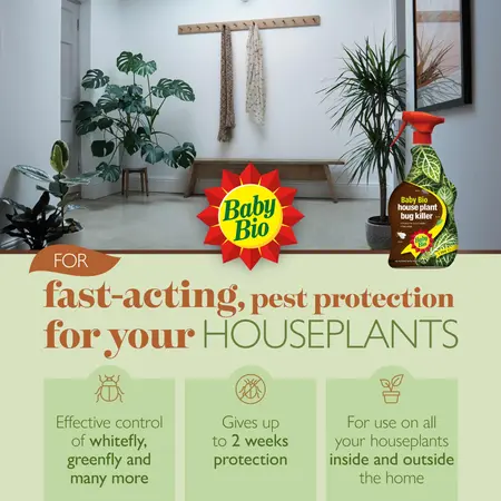 Baby Bio Houseplant Insecticide Spray - image 2